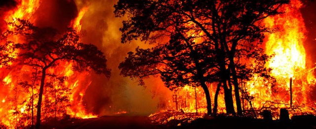 incendio forestal portada chile
