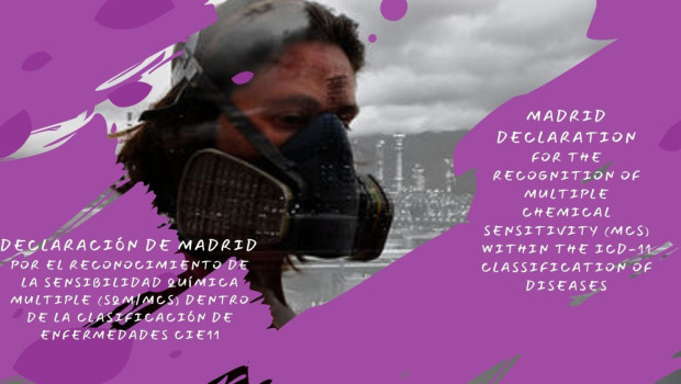 madrid declaration for the recognition of multiple chemical sensitivity mcs within the icd 11 classification of diseases 