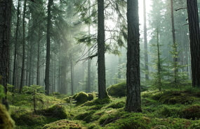 microsoftteams image 62 20240619124044 microsoftteams image 62 20240619124044