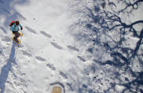 1579540413 captura de pantalla 2020 01 20 a les 181215