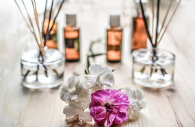 1653467268 scent g6d8583c3f1280 1653467268 scent g6d8583c3f1280