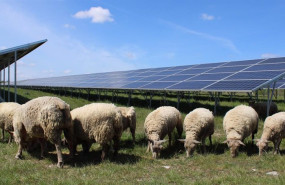 ep baywa convierte antiguos terrenos militares en francia en un hub de energia solar de 136 mw