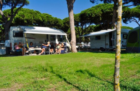 ep camping pinar san jose