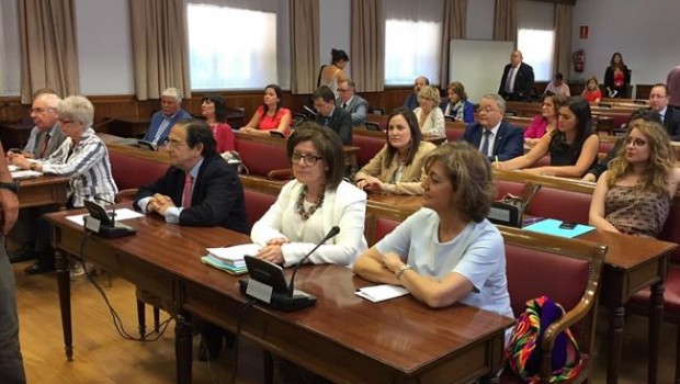 ep comisioninvestigacionsenadofinanciacionpartidos
