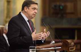 ep el ministro de agricultura luis planas interviene en una sesion plenaria en el congreso de los
