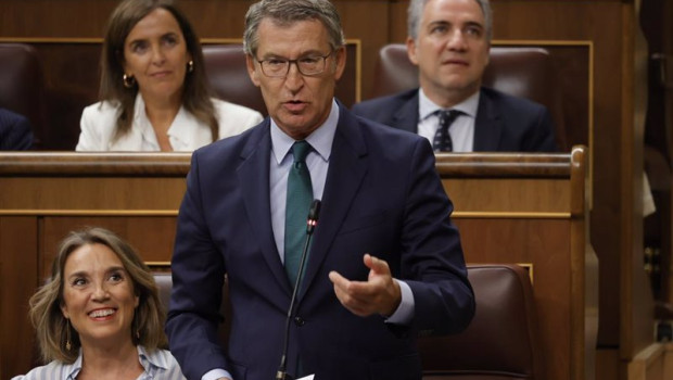 ep el presidente del pp alberto nunez feijoo interviene durante una sesion de control al gobierno en ep el presidente del pp alberto nunez feijoo interviene durante una sesion de control al gobierno en
