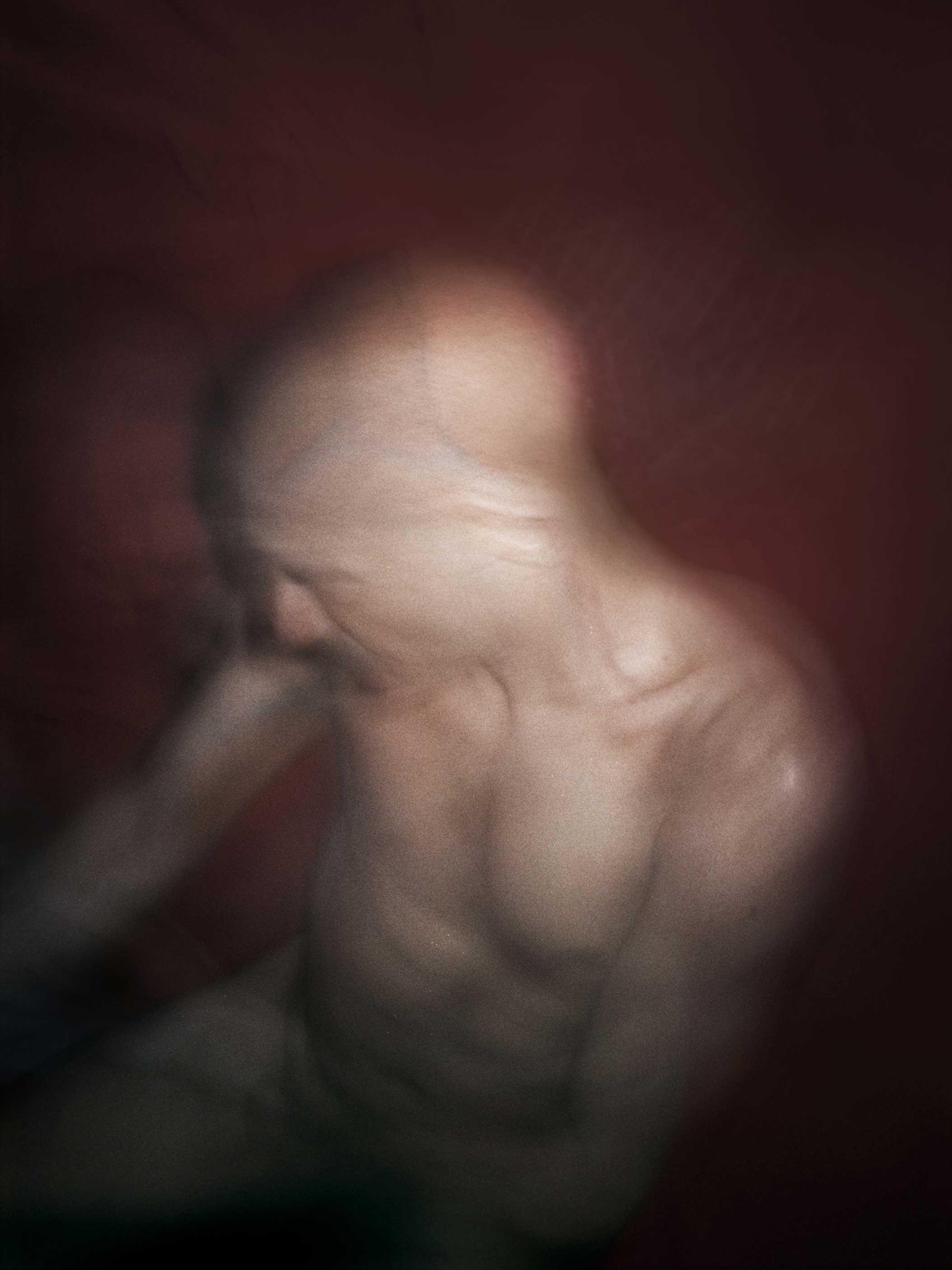 Fotografía de la exposición de Antoine d'Agata en PHotoEspaña | ANTOINE D' AGATA ep fotografiala exposicionantoine dagataphotoespana