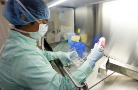 ep investigadora de la fundacion instituto de microcirugia ocular imo que esta investigando la