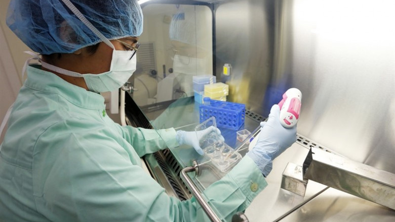 Investigadora de la Fundación Instituto de Microcirugía Ocular (IMO) que está investigando la edición genética CRISPR para tratar enfermedades hereditarias de la retina | INSTITUTO DE MICROCIRUGÍA OCULAR - Archivo ep investigadora de la fundacion instituto de microcirugia ocular imo que esta investigando la