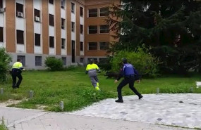 ep jabali en ciudad universitaria