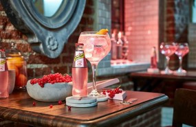 ep tonica pinkschweppes