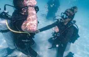 pura vida 20250523180910 pura vida 20250523180910