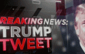 trumptweet trumptweet