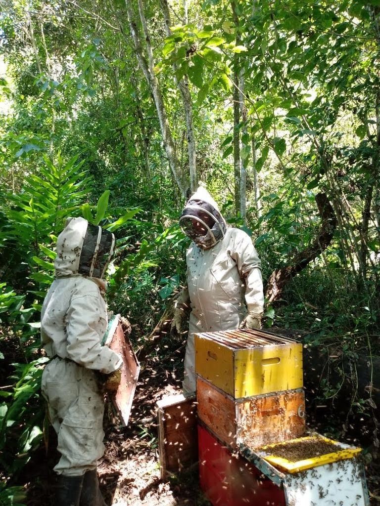 1599816277 infoperiodistas