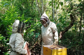 1599816277 infoperiodistas 1599816277 infoperiodistas