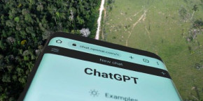 dforest chat gpt dforest chat gpt