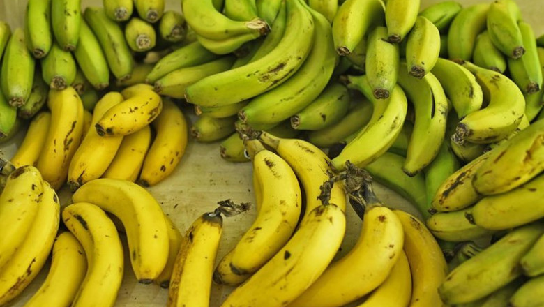 ep archivo manojo de platanos en un mercado de madird ep archivo manojo de platanos en un mercado de madird