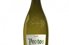 ep botellavino protos verdejo
