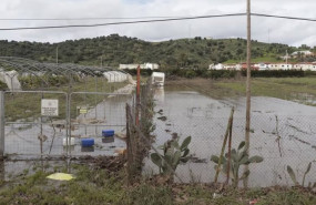 ep campo afectado por el temporal