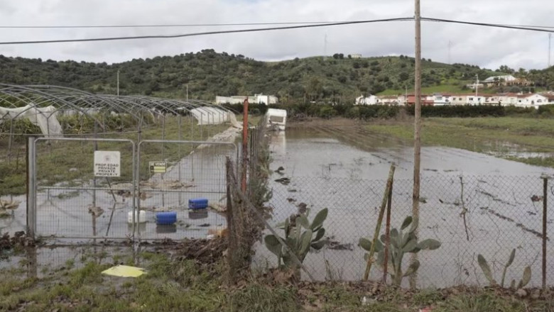 ep campo afectado por el temporal
