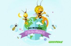 ep cartel campana evento greenpeaceplaneta junior