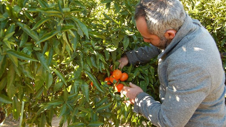 ep ccoo considera necesaria mas transparencia en la cadena agroalimentaria