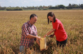 ep kelloggs reivindica lo local con el 72 de sus cereales vendidos en espana fabricados en tarragona