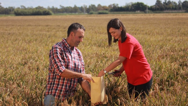 ep kelloggs reivindica lo local con el 72 de sus cereales vendidos en espana fabricados en tarragona