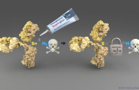 ep la nueva tecnologia permitemanera simpleconectarresiduoscitoesteina sh deanticuerpo sensibletumor amarillo amoleculasdrogas toxicas conector emergente permitetransporte segurotumor