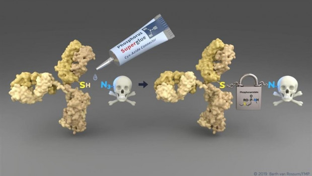 ep la nueva tecnologia permitemanera simpleconectarresiduoscitoesteina sh deanticuerpo sensibletumor amarillo amoleculasdrogas toxicas conector emergente permitetransporte segurotumor