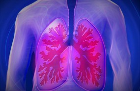 ep pulmones