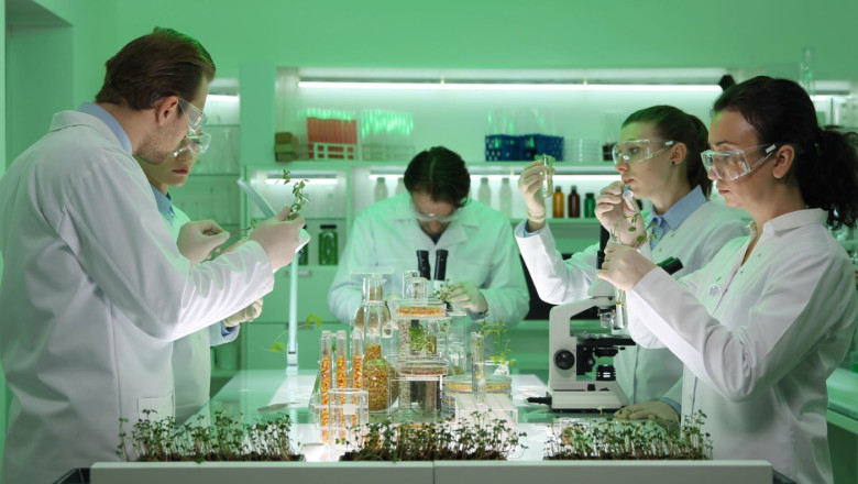 laboratorio orgnico ms reducido 1 20230315110523 