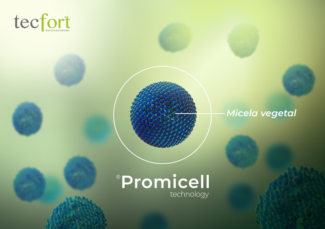 1560842630 promicelltechnology