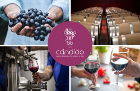 1637136753 cedecmultinivel iberica vinos c ndido