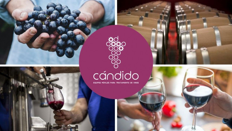 1637136753 cedecmultinivel iberica vinos c ndido