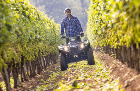 2022 yamaha yfm450fwbd 22 eu olive green action 002 03 2 2022 yamaha yfm450fwbd 22 eu olive green action 002 03 2