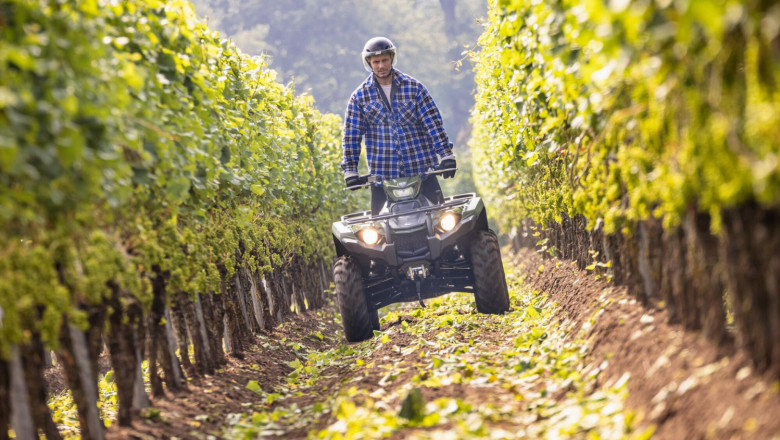 2022 yamaha yfm450fwbd 22 eu olive green action 002 03 2 