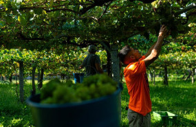 ep archivo   agricultor en el campo 20260421180904