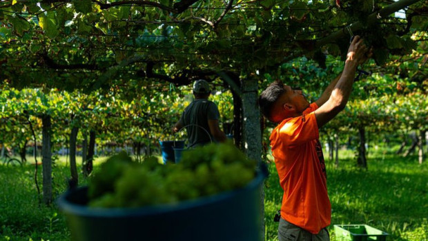 ep archivo   agricultor en el campo 20260421180904