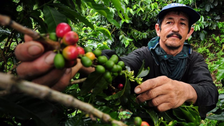 ep archivo un trabajador del campo en colombia ep archivo un trabajador del campo en colombia