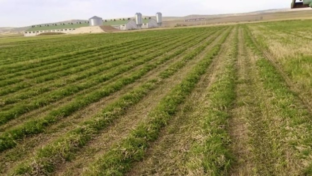 ep campo de aragon