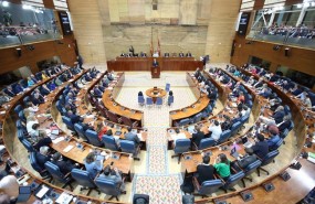 ep imagenplenola asambleamadrid duranteinvestiduragarrido