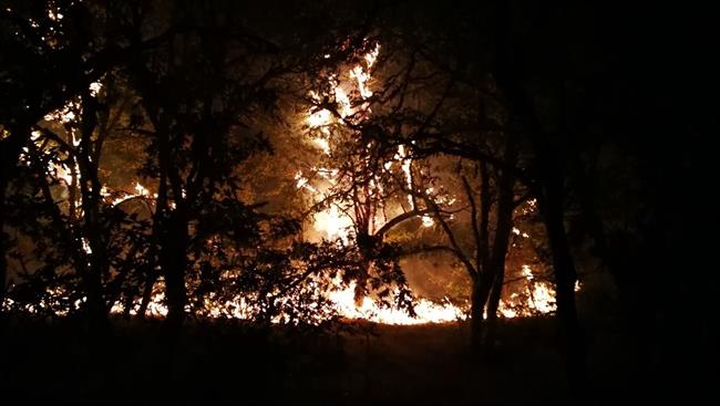 ep incendioserrasan madede ourense