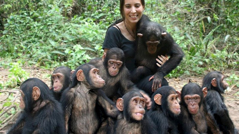 ep la directora del instituto jane goodall en republica del congo rebeca atencia junto a los