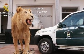 ep leon naturalizadola operacion internacional thunderbird