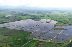ep planta en republica dominicana de ecoener