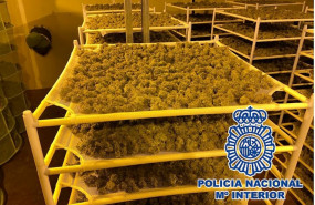 ep policia nacional nota de prensa con enlace de video y fotos la policia nacional desmantela un