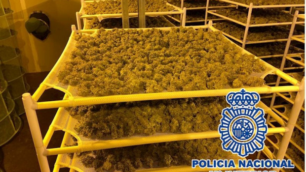 ep policia nacional nota de prensa con enlace de video y fotos la policia nacional desmantela un