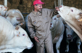 foto si yo no produzco t no comes productores foto si yo no produzco t no comes productores