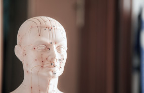 pexels juan antonio garcafiloso rodrguez 17108475 pexels juan antonio garcafiloso rodrguez 17108475